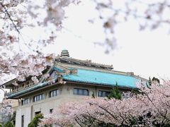 -武汉大学-樱园