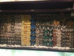 iphone_upload_pic-西安世博园