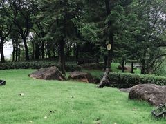 -映月湖公园