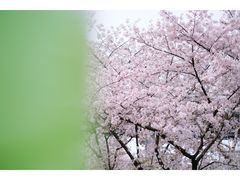 -南浦大桥长途旅游客运站
