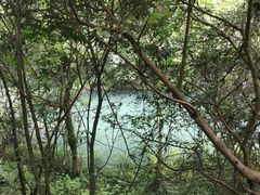 -石台牯牛降景区