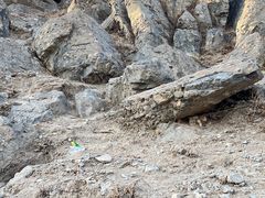 -鹫峰国家森林公园