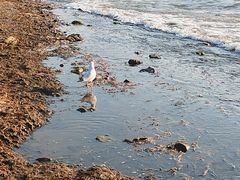 -月亮湾湿地公园