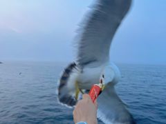 -星海广场
