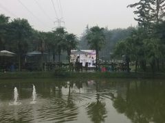 android_upload_pic-永康森林公园