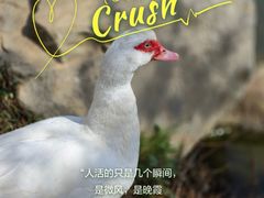 -大连外国语大学(旅顺校区)