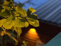 -秀·爱尔兰餐吧(上海路店)