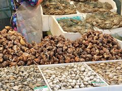 -马栏广场(地铁站)