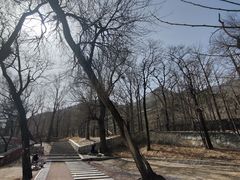 -阳台山自然风景区
