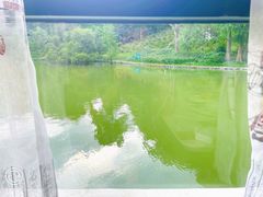 -广州市白云山风景名胜区