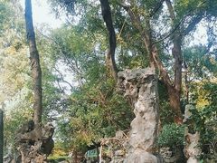 -绮园景区