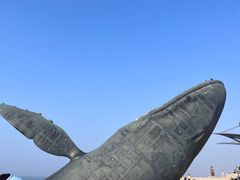 -烟台金沙滩海滨公园