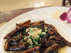-新聚丰菜馆(太监弄店)
