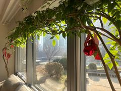 -精德口腔·种植修复·儿牙中心(财富中心店)