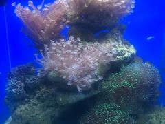 -常州海昌海洋探索馆