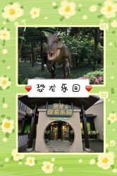 -恐龙探索乐园(磁器口店)