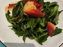 -普天和酒楼·新津菜·烤鸭(天津之眼店)