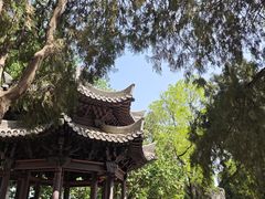 -赵州桥景区