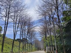 -福州大学(旗山校区)