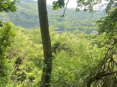 -水濂山森林公园