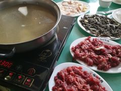 -乌记鲜活牛肉城(金砂东路店)