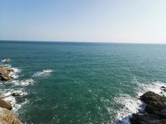 -广东惠东海龟国家级自然保护区