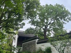 -上海醉白池公园