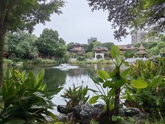 -顺峰山公园