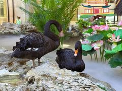 -赛格国际购物中心(小寨店)