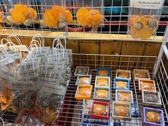 -蓝湾碧波·老字号·疍家非遗海上餐厅