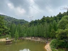 -广州市帽峰山景区