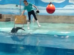 -临沂极地海洋王国