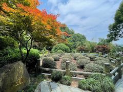 -十八棵（老龙井）御茶园(老龙井店)