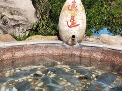 -金孔雀温泉旅游度假村