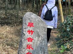 -紫金山山顶公园