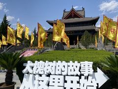 -大槐树寻根祭祖园