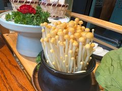 -手选潮汕鲜牛肉火锅(二七广场店)