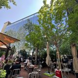 华贸！这才是北京春天该有的样子…