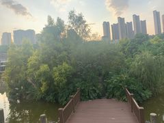 -张坝桂圆林公园