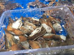-盒马鲜生(悦峰店)