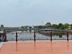 -鹅湖玫瑰文化园