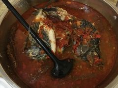 -风鑫铃罗非鱼(道沟店)
