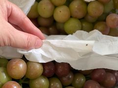 -马陆小张葡萄园农家乐