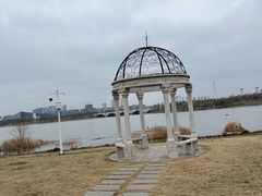 -九龙湖公园