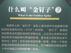-金钉子远古世界景区