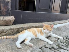 -张家港凤凰山景区恬庄古街