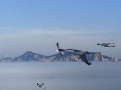 -海驴岛(荣成市)
