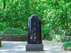 -上海佘山国家森林公园天马山园