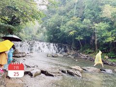 -石台牯牛降景区
