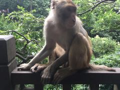 -黔灵山公园-南门售票处